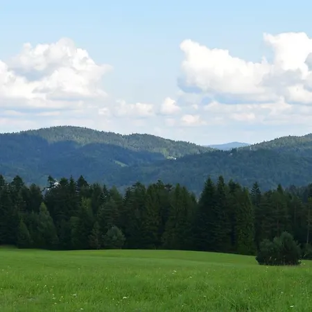Forrest Apartamento Krynica Zdroj